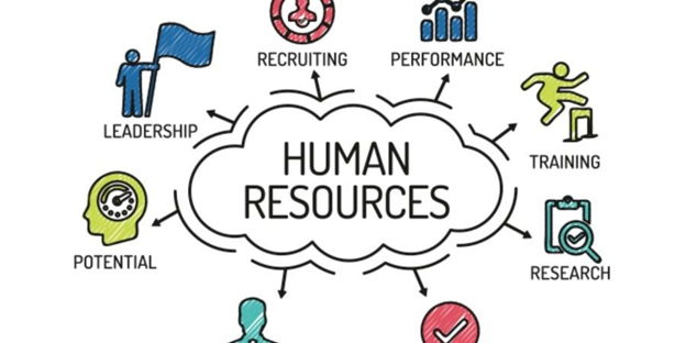 7 Human Resource Management Basics Every HR Professional Should Know